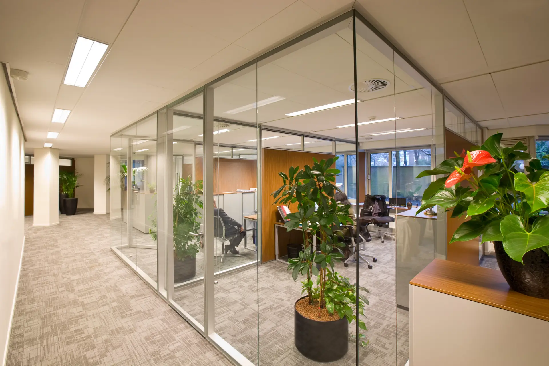 soundproof office acoustic partitions